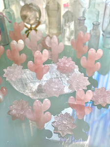 Rose Quartz Succulent