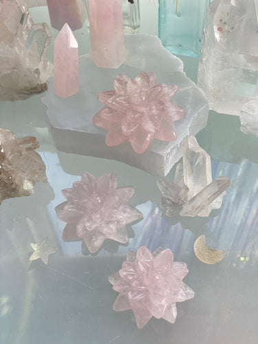 Rose Quartz Succulent