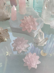 Rose Quartz Succulent
