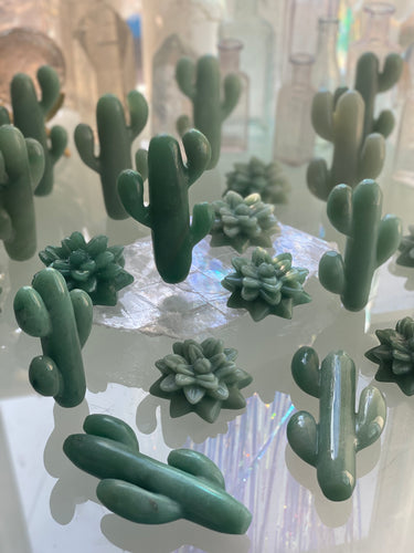 Green aventurine succulent